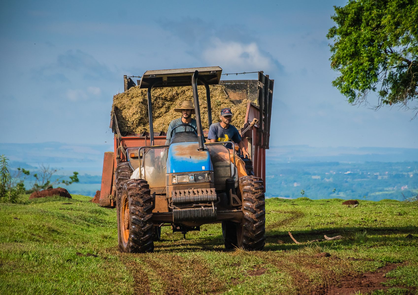 Trabalhador rural no campo em fazenda no Brasil