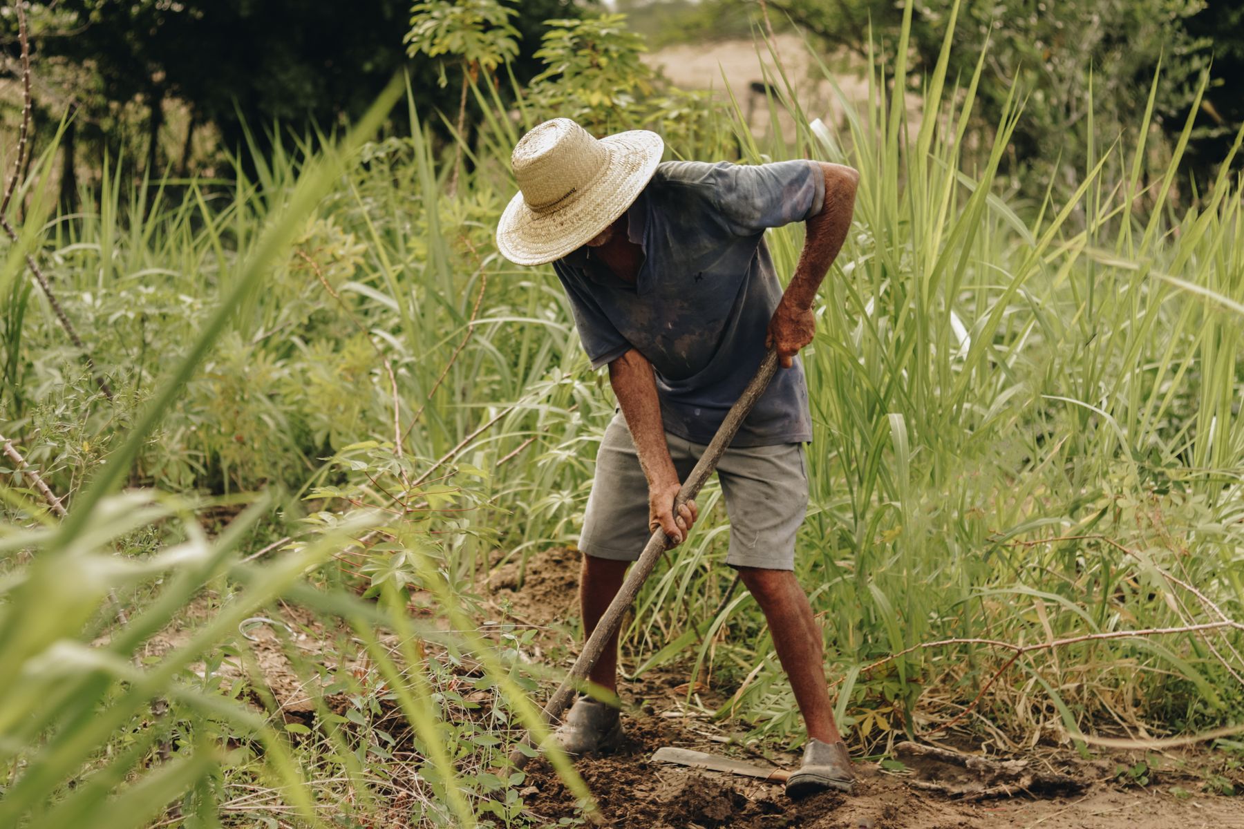 Trabalhador rural em fazenda no Brasil