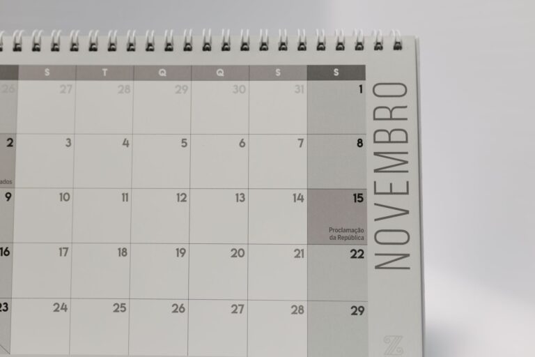 Calendário de novembro com a sexta-feira 20 em destaque