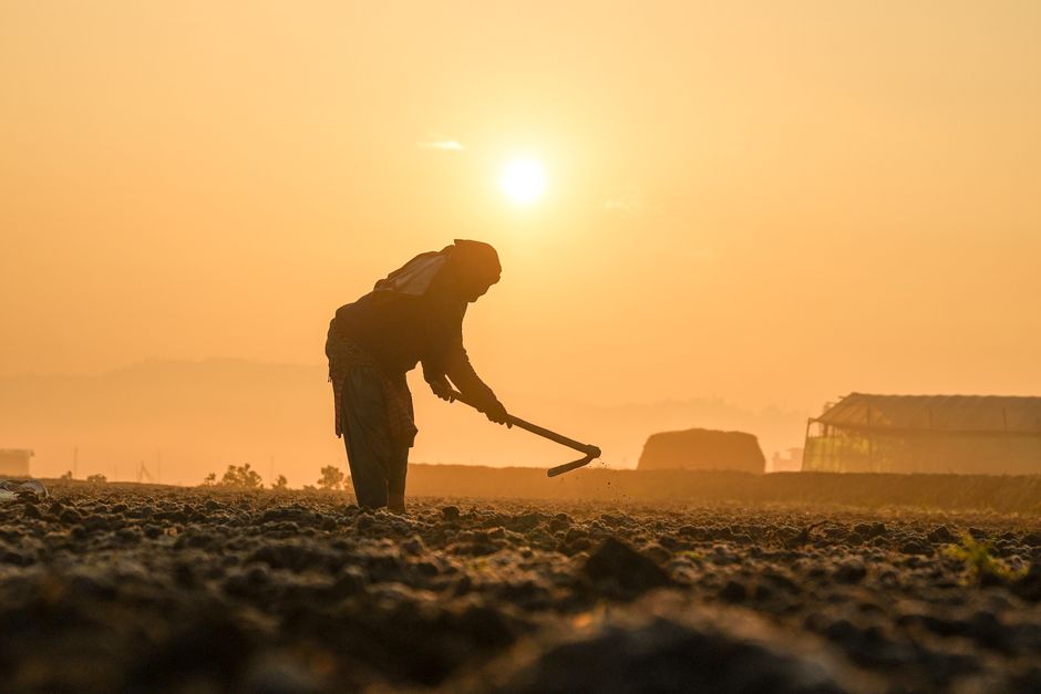 Trabalhador rural cultivando a terra ao nascer do sol